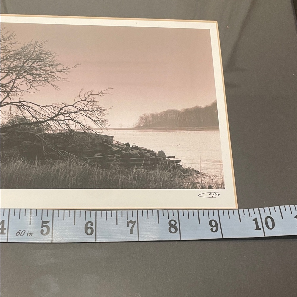 Richard Calvo Riverview Professional Framed Black and White Tree Photograph - Picture 9 of 10